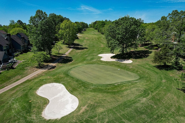 649 Wisley Way, Ringgold, GA 30736 - view of property's community with view of golf course, a putting green, and view of scattered trees