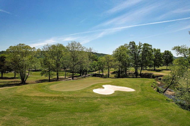 649 Wisley Way, Ringgold, GA 30736 - view of home's community with a yard, golf course view, and view of scattered trees