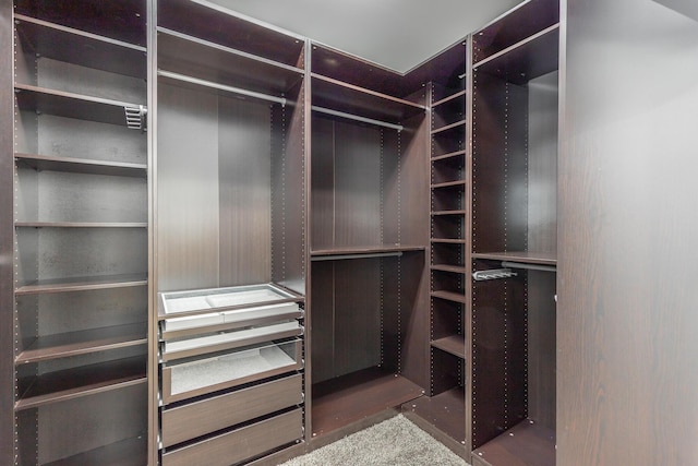 9923 Sims Harris Rd, Ooltewah, TN 37363 - view of spacious closet