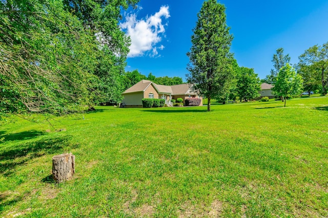 9923 Sims Harris Rd, Ooltewah, TN 37363 - view of green lawn