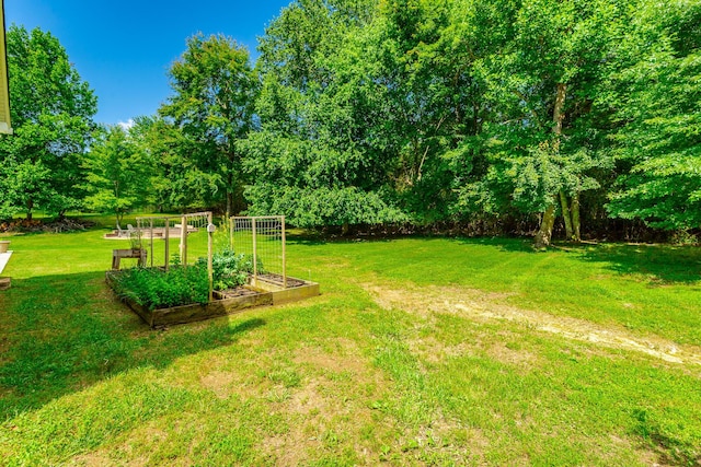 9923 Sims Harris Rd, Ooltewah, TN 37363 - view of green lawn featuring a vegetable garden