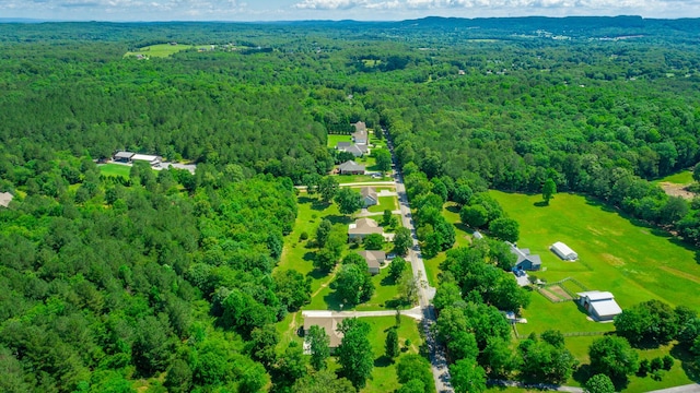 9923 Sims Harris Rd, Ooltewah, TN 37363 - drone / aerial view of a forest