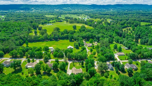 9923 Sims Harris Rd, Ooltewah, TN 37363 - drone / aerial view