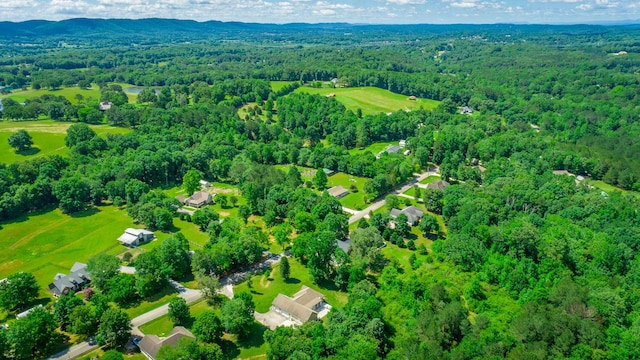 9923 Sims Harris Rd, Ooltewah, TN 37363 - bird's eye view of a forest