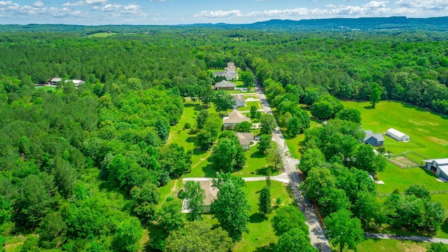 9923 Sims Harris Rd, Ooltewah, TN 37363 - bird's eye view of a forest