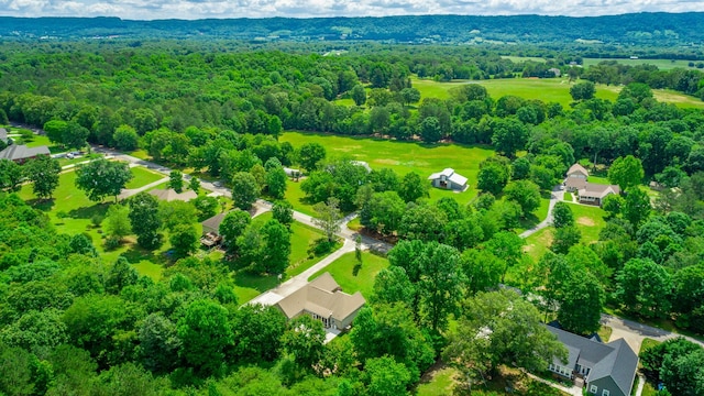 9923 Sims Harris Rd, Ooltewah, TN 37363 - bird's eye view of a forest