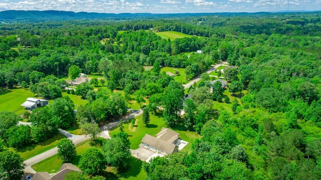 9923 Sims Harris Rd, Ooltewah, TN 37363 - bird's eye view of a heavily wooded area