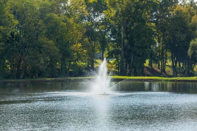 2027 Holden Farm Pl Unit 622, Ooltewah, TN 37363 - water view with a heavily wooded area