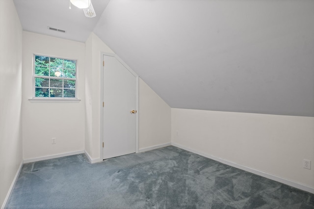 20 Debbie Ln, Ringgold, GA 30736 - bonus room with carpet and lofted ceiling