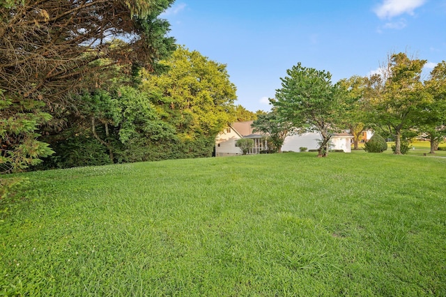 20 Debbie Ln, Ringgold, GA 30736 - view of green lawn