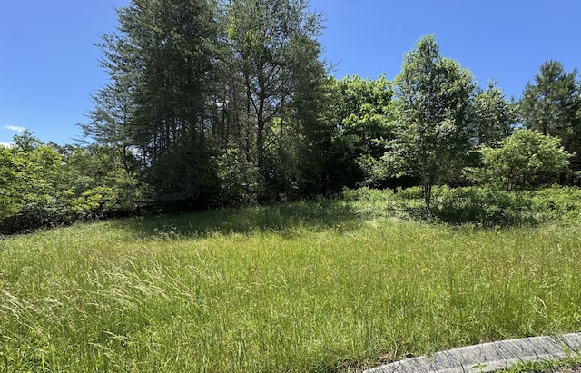 1492 Dreamfield Dr Unit 11, Soddy Daisy, TN 37379