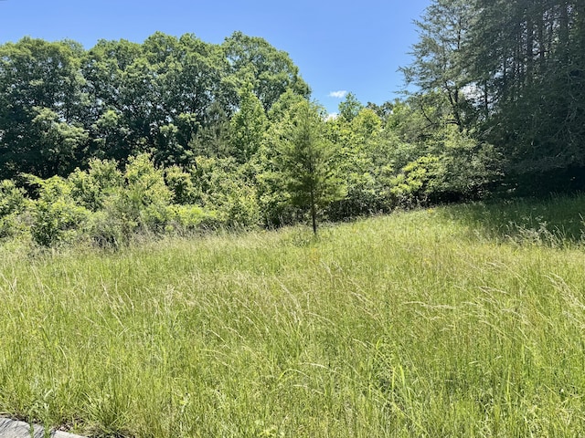 1492 Dreamfield Dr Unit 11, Soddy Daisy, TN 37379
