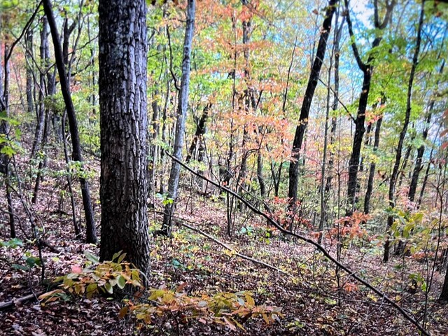 245 Hill Rd, Crossville, TN 38572 - photo 1