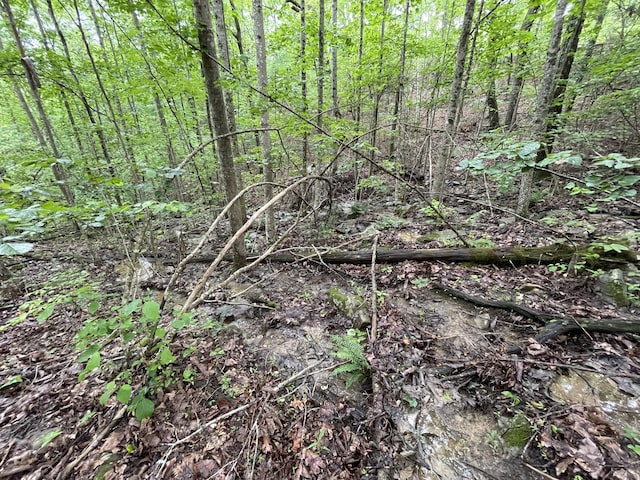 245 Hill Rd, Crossville, TN 38572 - photo 8