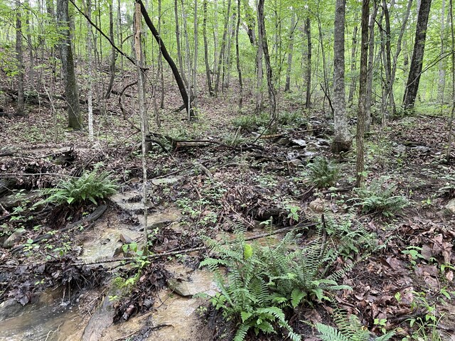 245 Hill Rd, Crossville, TN 38572 - photo 10