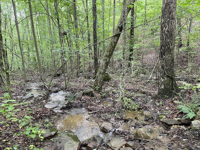 245 Hill Rd, Crossville, TN 38572 - photo 9