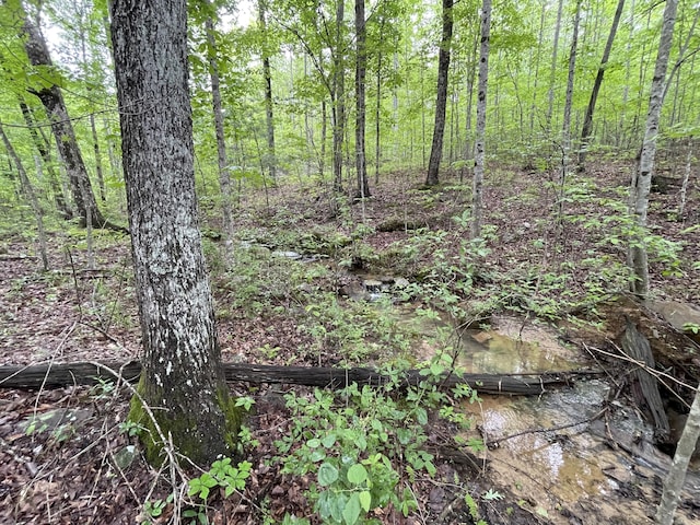 245 Hill Rd, Crossville, TN 38572 - photo 14