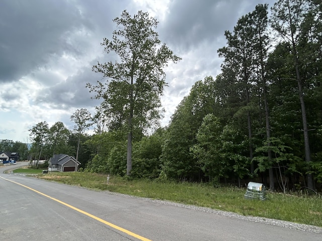 464 Moonlight Ln Unit Jf-440, Jasper, TN 37347 - photo 10