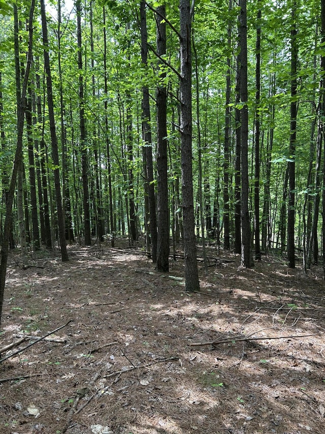 464 Moonlight Ln Unit Jf-440, Jasper, TN 37347 - photo 4