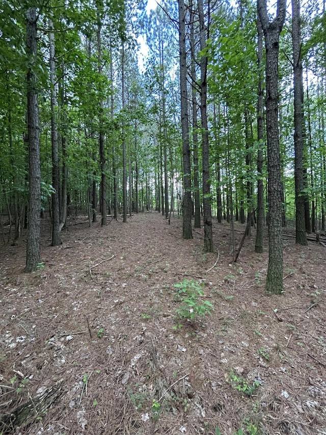 464 Moonlight Ln Unit Jf-440, Jasper, TN 37347 - photo 3