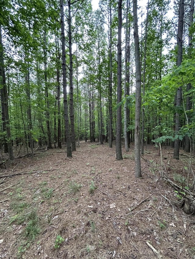 464 Moonlight Ln Unit Jf-440, Jasper, TN 37347 - photo 12