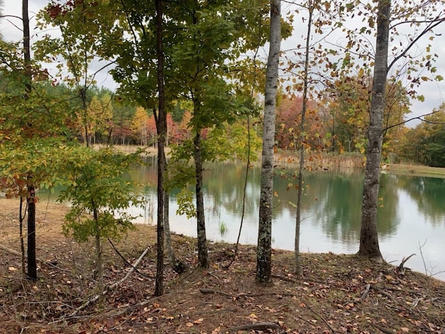 464 Moonlight Ln Unit Jf-440, Jasper, TN 37347 - photo 2