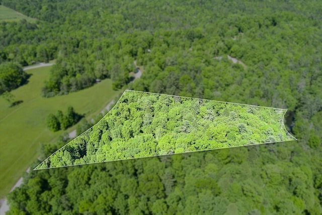 0 White Creek Loop, Deer Lodge, TN 37726 - photo 2