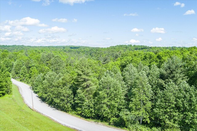 0 White Creek Loop, Deer Lodge, TN 37726 - photo 4