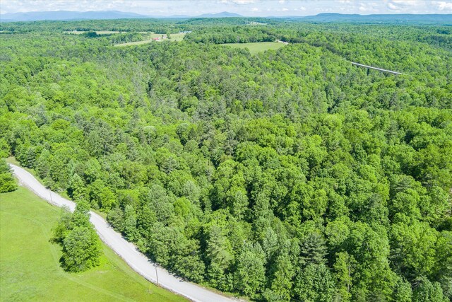0 White Creek Loop, Deer Lodge, TN 37726 - photo 5