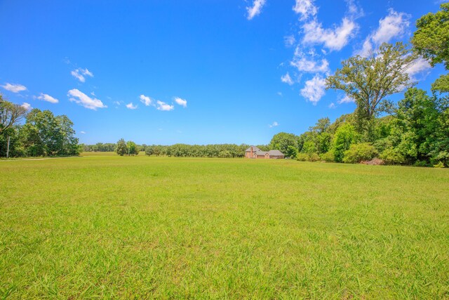 7900 Ooltewah Georgetown Rd, Ooltewah, TN 37363 - view of green lawn with a rural view