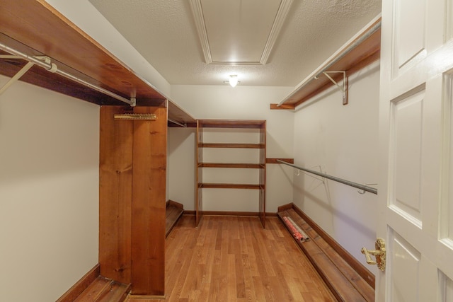 7900 Ooltewah Georgetown Rd, Ooltewah, TN 37363 - spacious closet with light wood-style flooring and attic access
