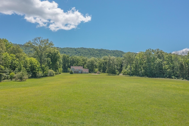 7900 Ooltewah Georgetown Rd, Ooltewah, TN 37363 - view of grassy yard featuring a wooded view and a view of countryside