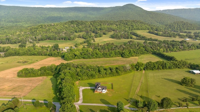 229 Blue Bird Way, Dunlap, TN 37327 - overview of rural landscape featuring a forest and mountains
