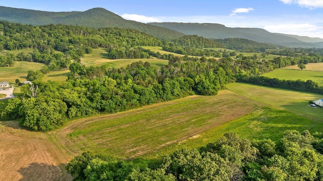 229 Blue Bird Way, Dunlap, TN 37327 - mountain view