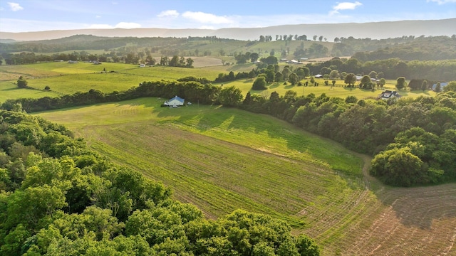 229 Blue Bird Way, Dunlap, TN 37327 - aerial view of property and surrounding area with rural landscape and a mountain backdrop