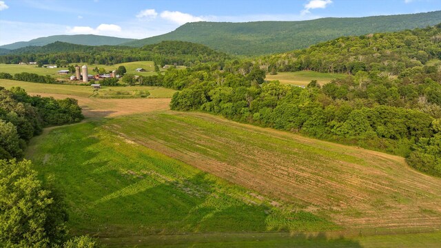 229 Blue Bird Way, Dunlap, TN 37327 - view of rural area featuring a mountain backdrop