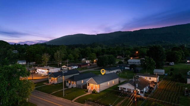 603 Browns Ferry Rd, Chattanooga, TN 37419 - view of mountain background featuring a forest