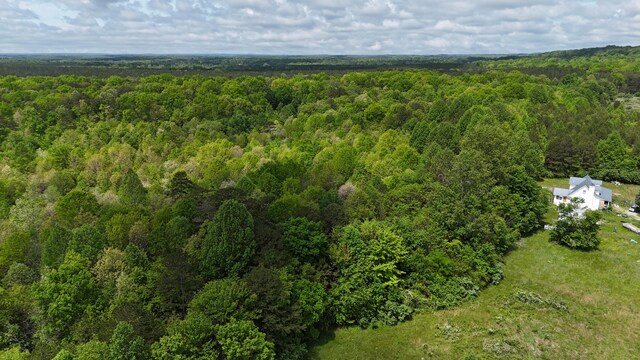 10 Windstone Dr, Tracy City, TN 37387