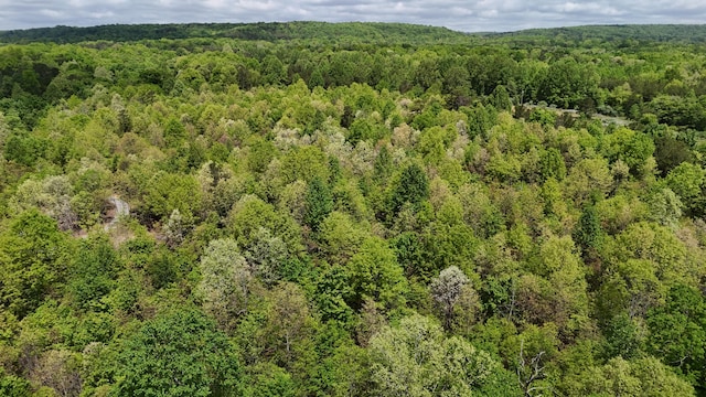 10 Windstone Dr, Tracy City, TN 37387