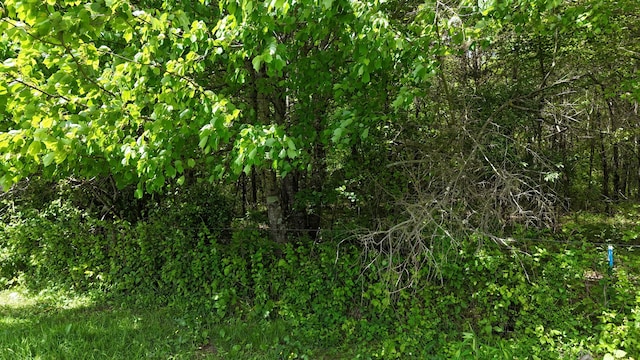 10 Windstone Dr, Tracy City, TN 37387