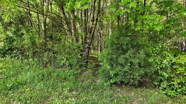 10 Windstone Dr, Tracy City, TN 37387