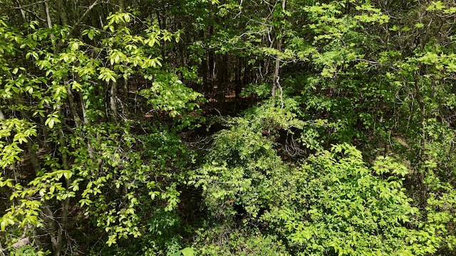 10 Windstone Dr, Tracy City, TN 37387