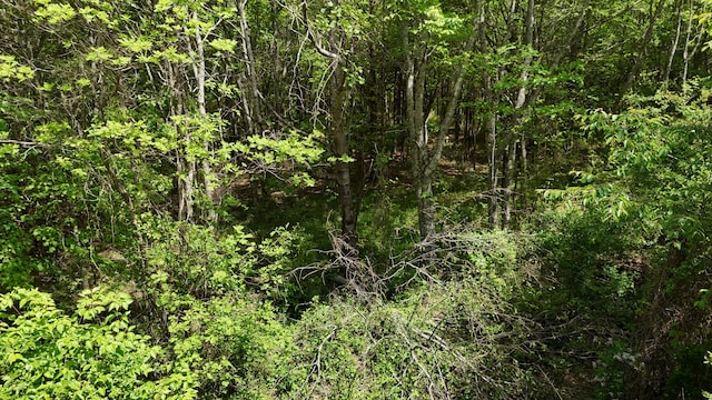 10 Windstone Dr, Tracy City, TN 37387
