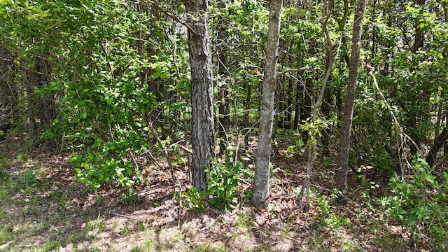 10 Windstone Dr, Tracy City, TN 37387