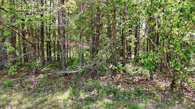 10 Windstone Dr, Tracy City, TN 37387