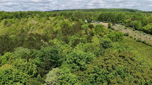 10 Windstone Dr, Tracy City, TN 37387