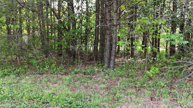 10 Windstone Dr, Tracy City, TN 37387