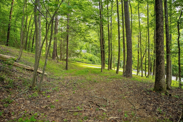 5203 Howardsville Rd, Apison, TN 37302 - view of wooded area