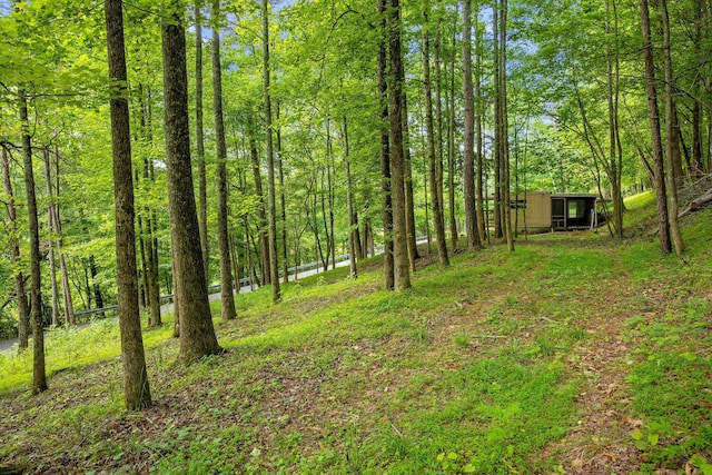 5203 Howardsville Rd, Apison, TN 37302 - view of yard with a forest view