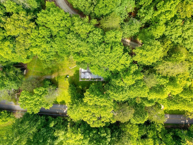 5203 Howardsville Rd, Apison, TN 37302 - bird's eye view